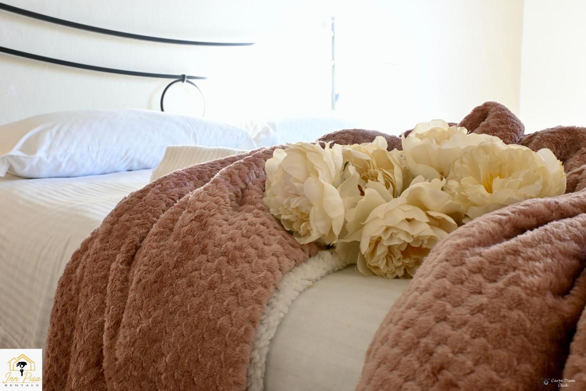 Inn Pisa Rentals 2- San Francesco Flat エクステリア 写真